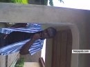 alhaji - click for next photo