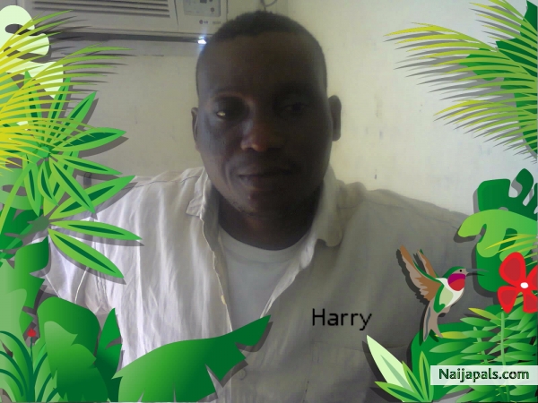 Harry 3.jpg - click for next photo