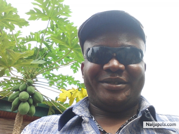 osuofia - click for next photo