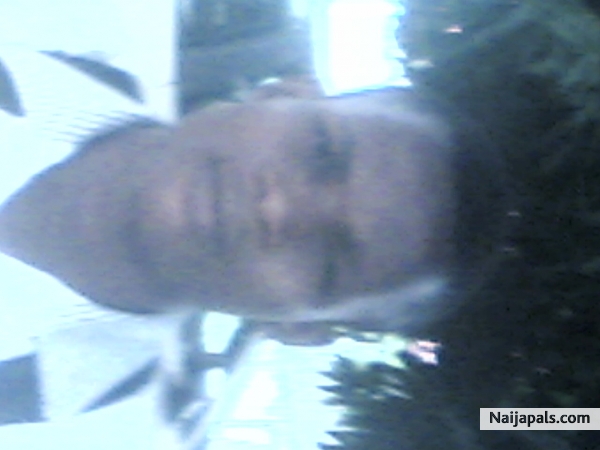 My pic - click for next photo