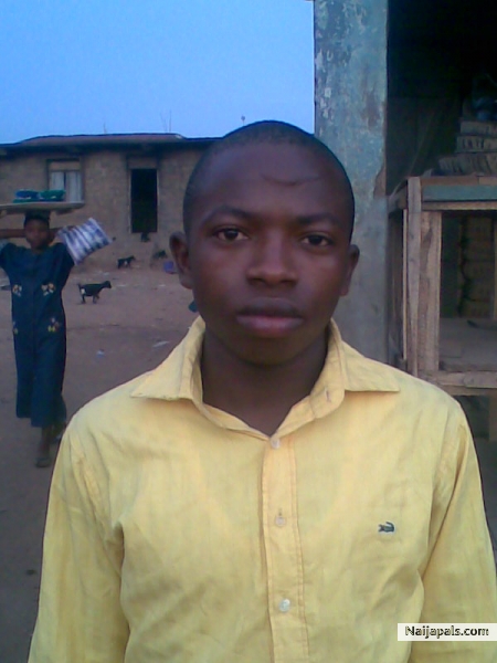  - click for next photo