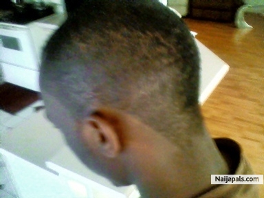THE MO-HAWK - click for next photo