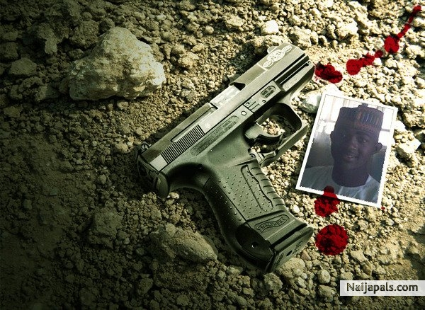  - click for next photo