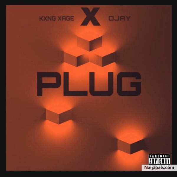 Plug