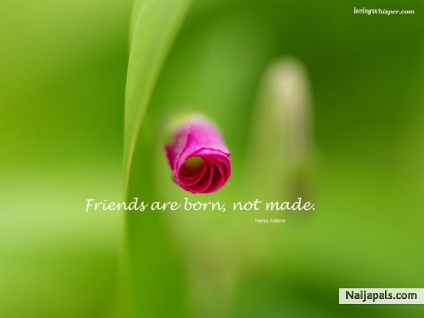 THIS IS FOR YOU,THANKS FOR BEING HERE - click for next photo