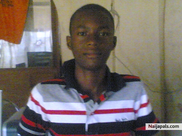 image - click for next photo