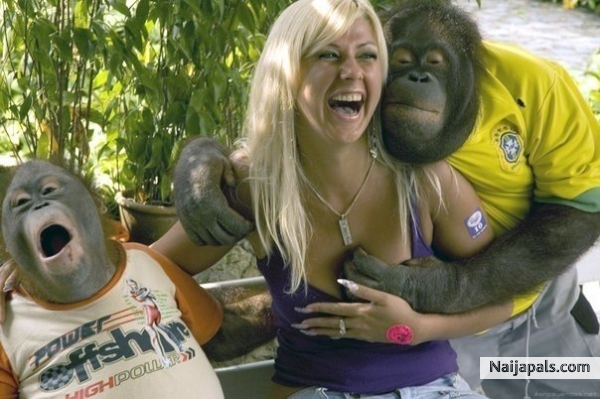 Na wa chick? - click for next photo
