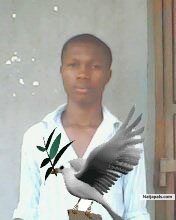  - click for next photo