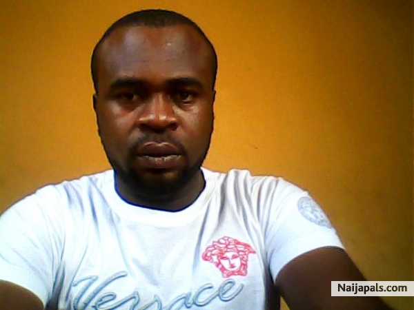 hi - click for next photo