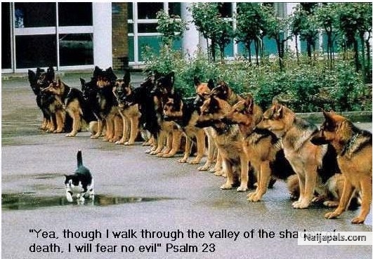 Psalm 23 - click for next photo