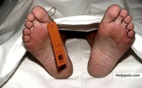 DEAD BODY - click for next photo
