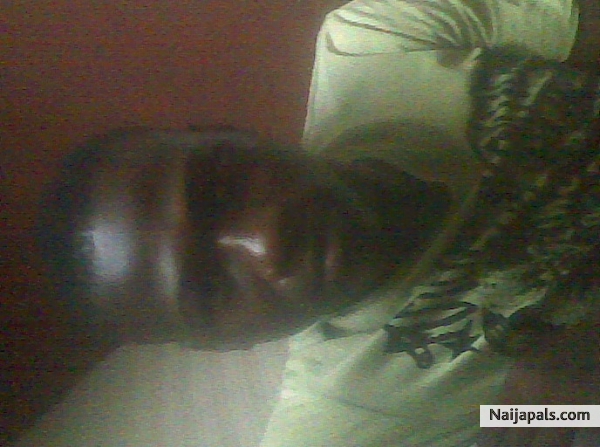  - click for next photo