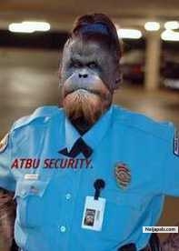 atbu - click for next photo