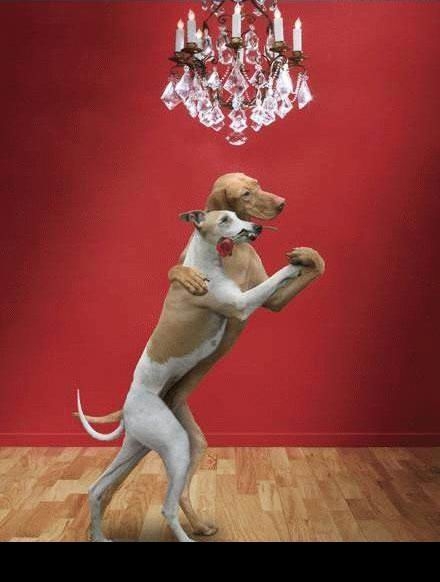 wat do u tink of meeeeeeeeee - click for next photo