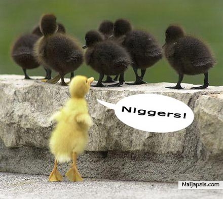 Say NO to Racism - click for next photo