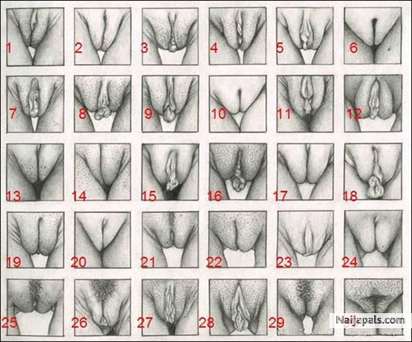 Too much Sex - click for next photo