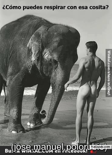 q pequeña le dice el elefante@ - click for next photo