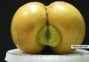 If u want to comment 1st type in the 1st thing that came to ur mind when u saw this - click for next photo