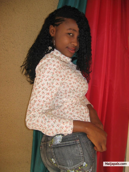 My Recent Pix - click for next photo