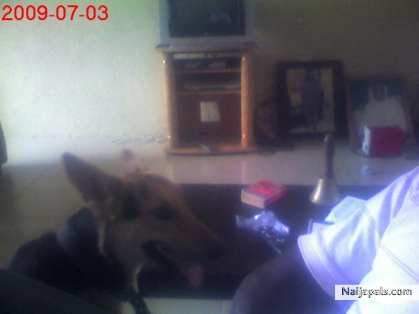  - click for next photo