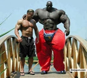 hulk - click for next photo