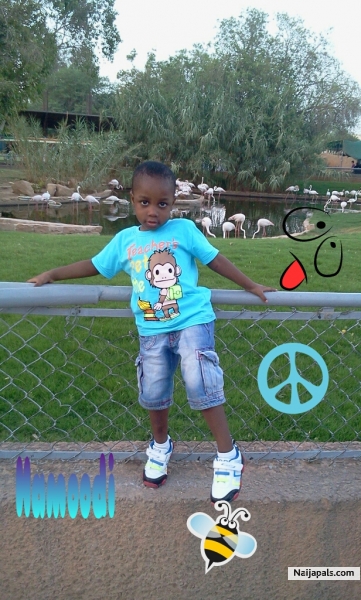  - click for next photo