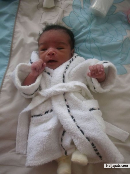 Jamal - click for next photo