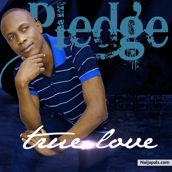 pledge - click for next photo