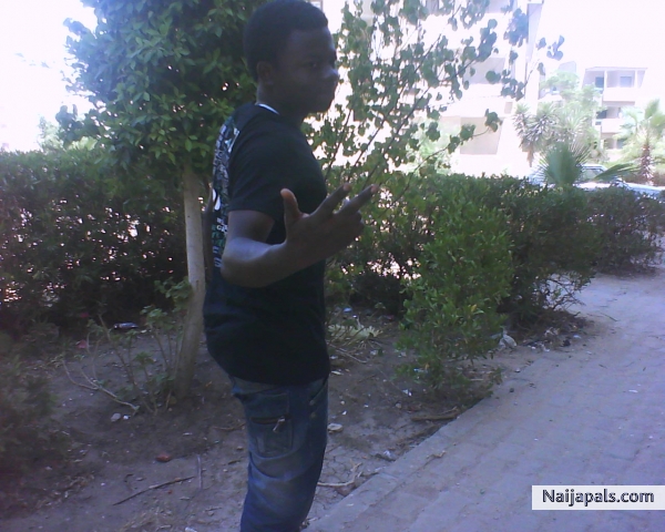  - click for next photo