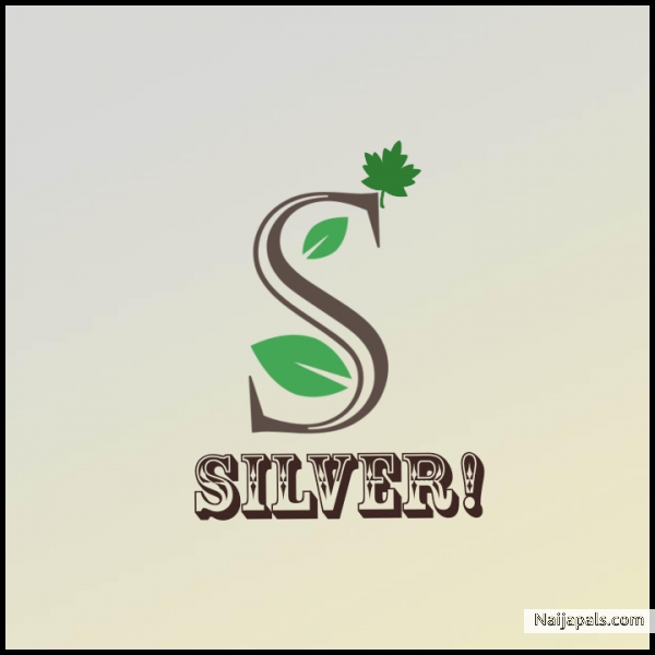 Silver - click for next photo