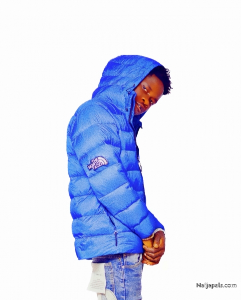 Thebeekillz - click for next photo