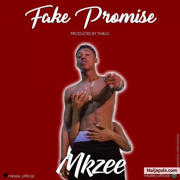 Fake Promise