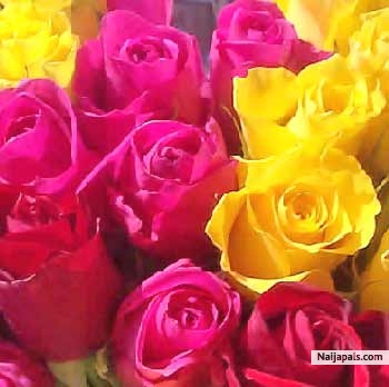 lovely - click for next photo