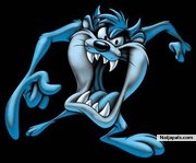 Im as the Tasmanian devil - click for next photo