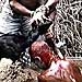 cleansing with blood - click for next photo