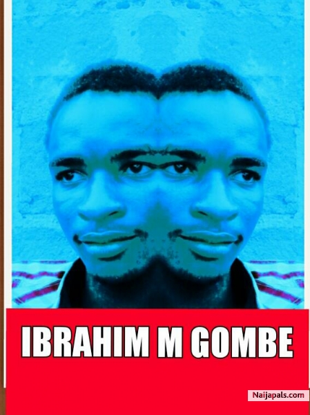 Ibrahim M Gombe Mirror app pic 013 - click for next photo