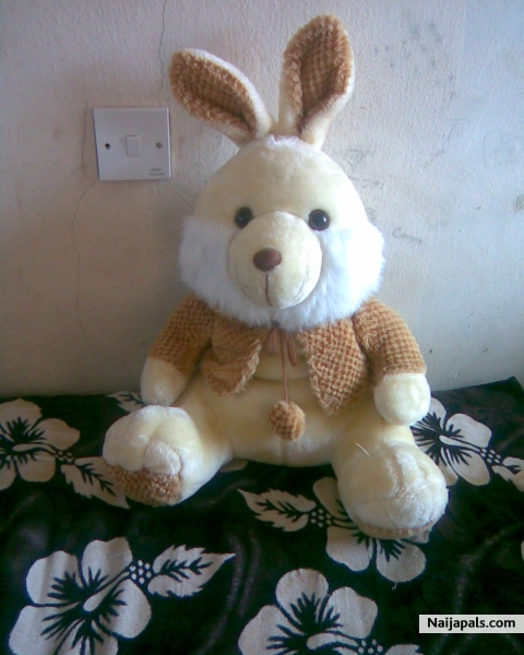  - click for next photo