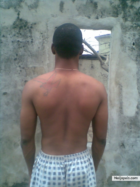  - click for next photo