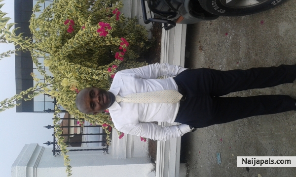 MY PIX - click for next photo
