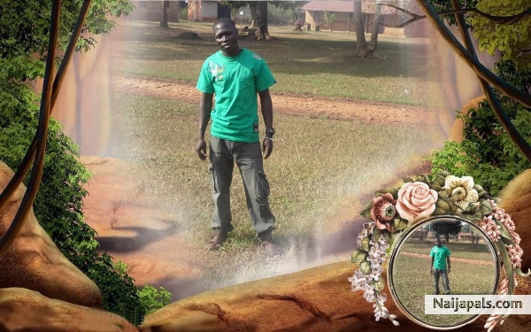  - click for next photo
