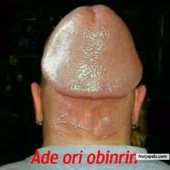 DICKHEAD - click for next photo