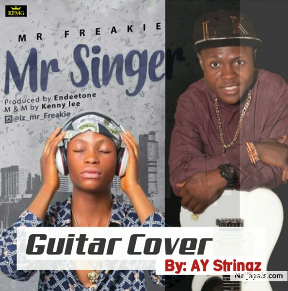Mr Singer - Guitar Cover
