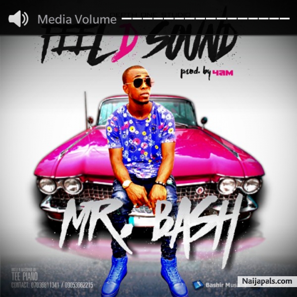 Mr Bash - click for next photo