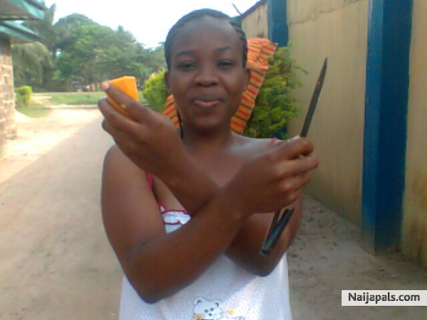 Chimozy - click for next photo