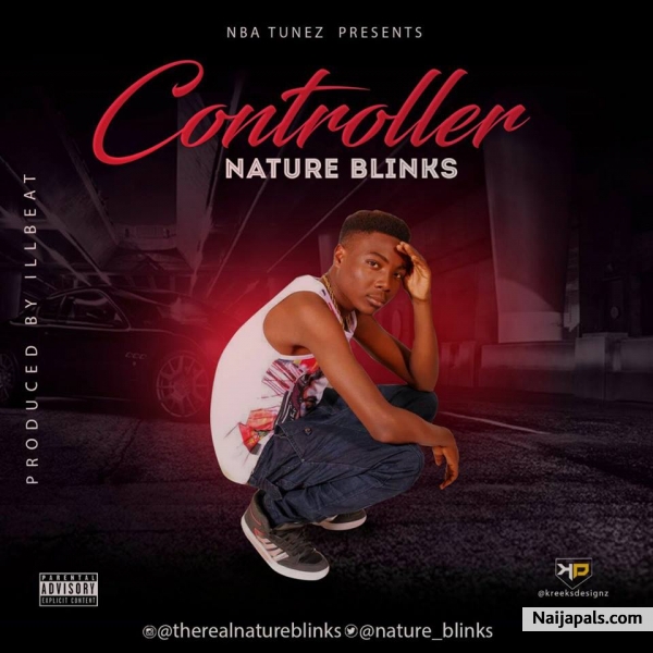 Nature Blinks-controller