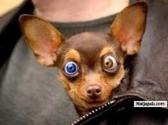 Funny - click for next photo