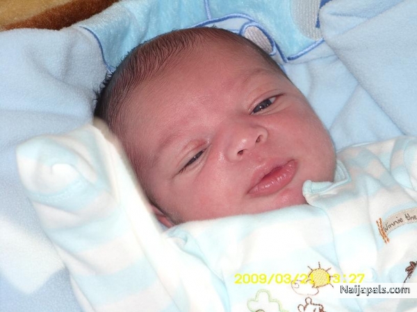  - click for next photo