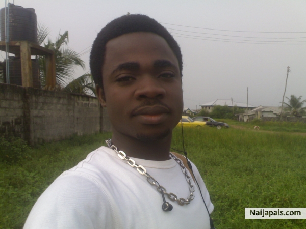 Ronzy - click for next photo