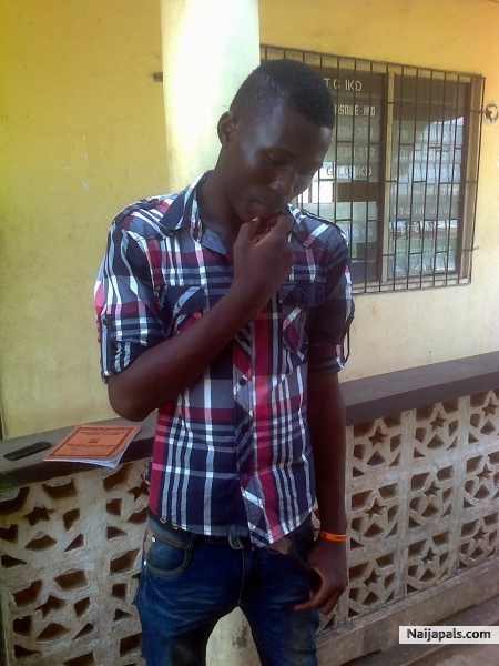  - click for next photo