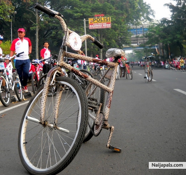 Polisi Bicycle never gotten New but Tweedehands. still was always my choice despite!! despite! - click for next photo